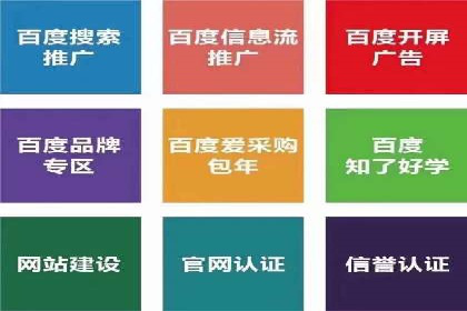 实战案例：SEM优化助力品牌知名度提升